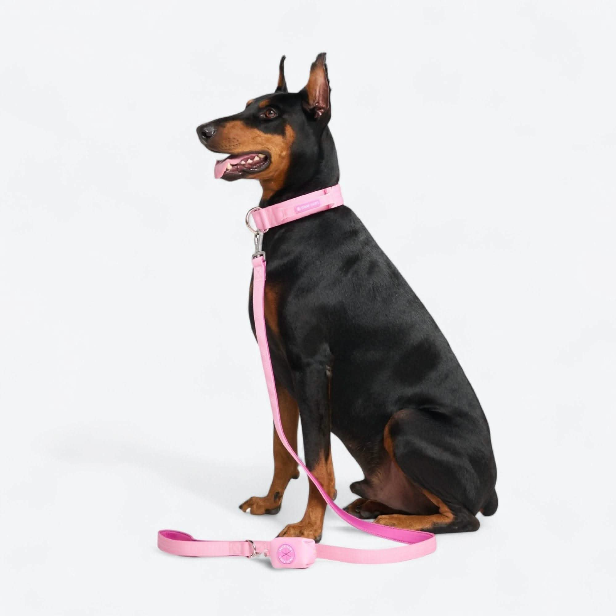 Product image 96